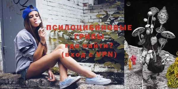гашик Абинск