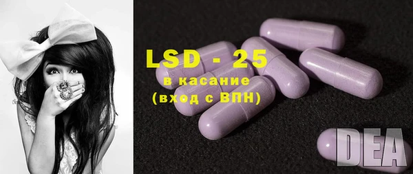 ПСИЛОЦИБИНОВЫЕ ГРИБЫ Пересвет