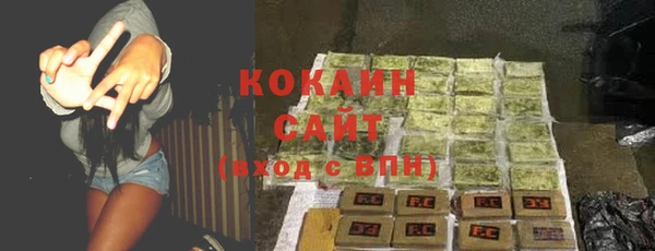 стаф Пестово