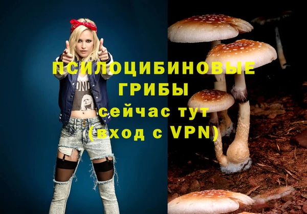 бошки Абдулино