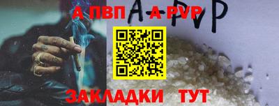 шишки Лесосибирск