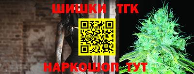 шишки Лесосибирск