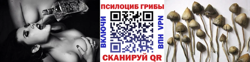 Псилоцибиновые грибы GOLDEN TEACHER  kraken маркетплейс  Удомля 