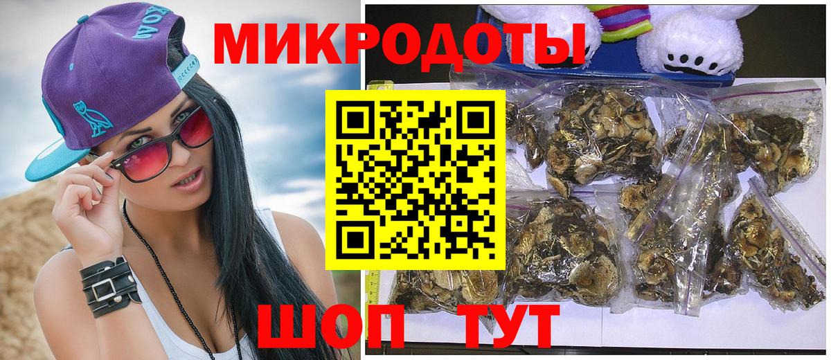 Удомля  Псилоцибиновые грибы мицелий  Вход с VPN  Галлюциногенные грибы Psilocybe 