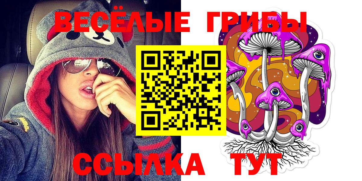 Псилоцибиновые грибы прущие грибы Удомля